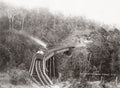 Queensland Australia Main Range Railway Steam Train Trestle Vtg. Photo 19thC.