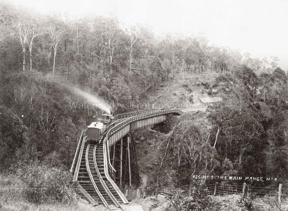 Queensland Australia Main Range Railway Steam Train Trestle Vtg. Photo 19thC.