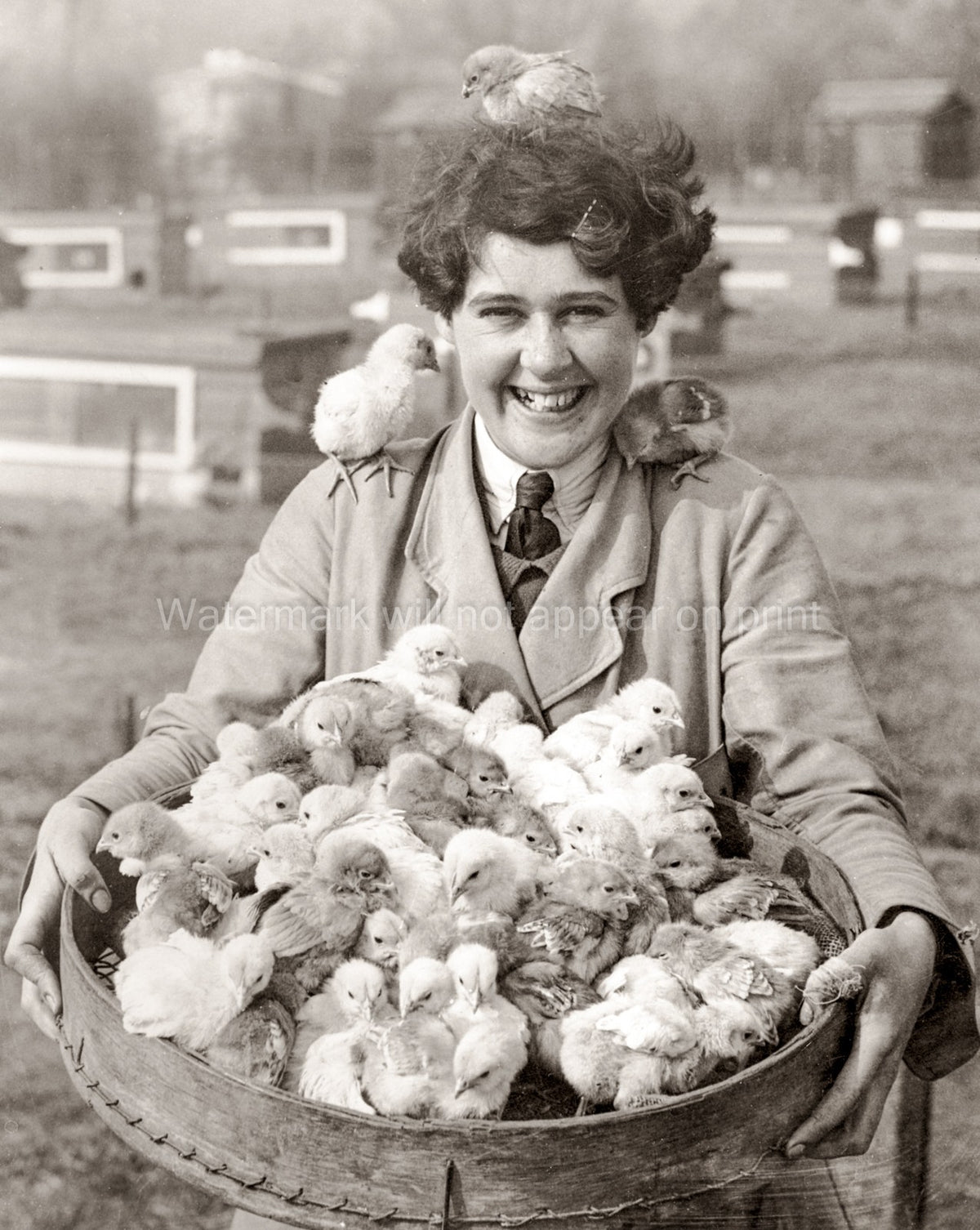 Young Woman Basket Easter Chicks Poultry Farm Smile Vtg. Photo 20thC.