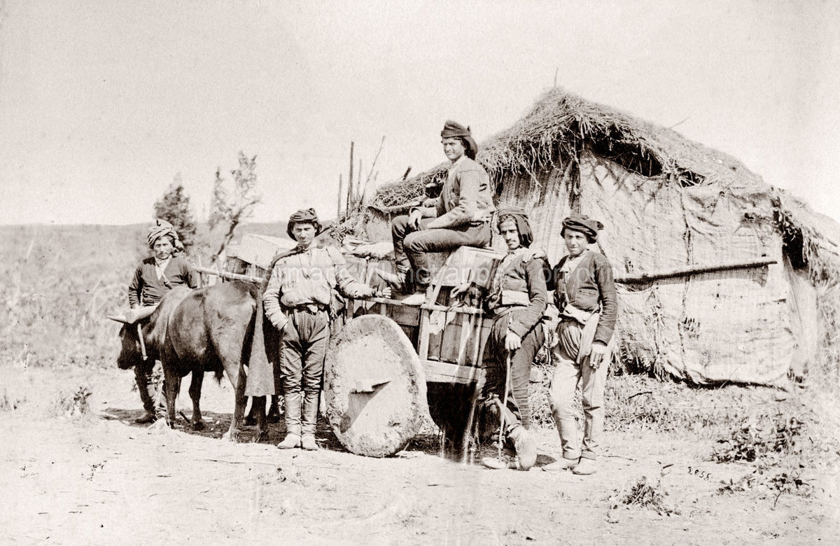 Caucasus Georgia Georgian Men Bullock Cart Rural Life Hut Vtg. Photo 19thC.