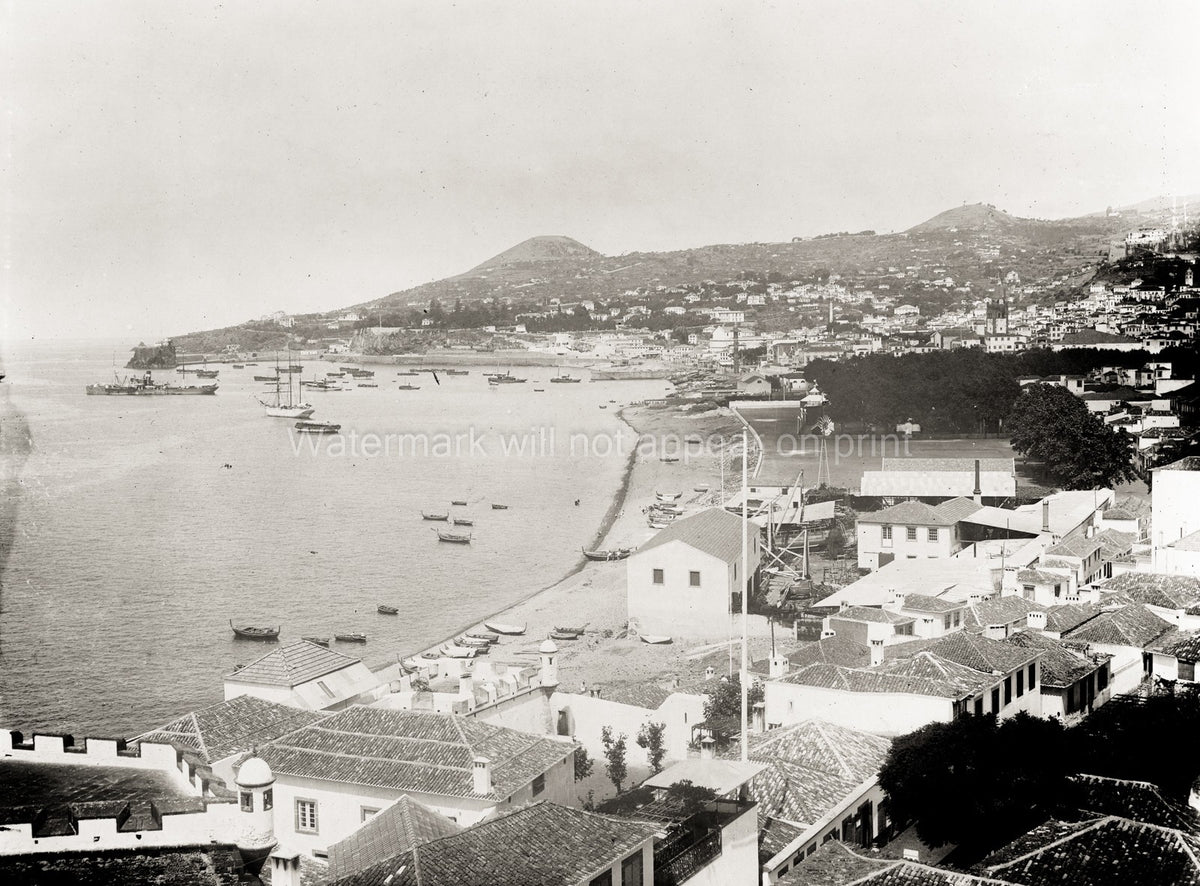 Madeira Portugal Waterfront Coastal View Harbor Boats Beach Vtg. Photo 19thC.