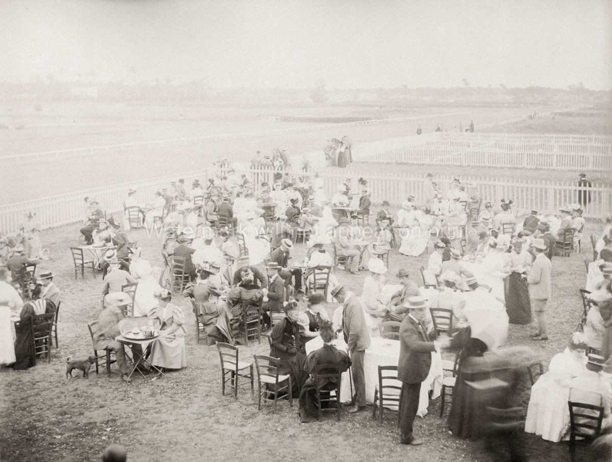 Cairo Races Egypt Racecourse Crowd Spectators Social Gathering Vtg. Photo 19thC.