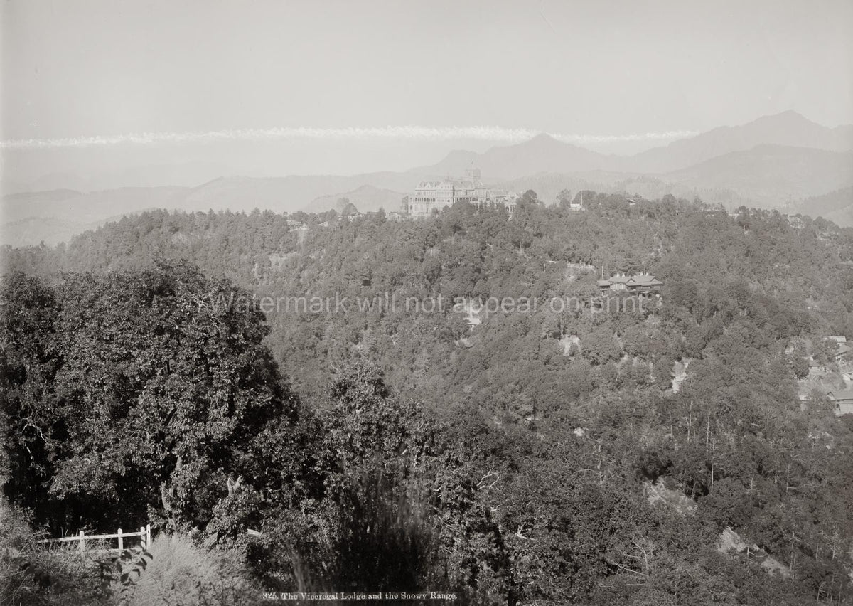 Viceregal Lodge Simla India Landscape Mountains Architecture Vtg. Photo 20thC.