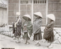 Japan Row Buddhist Priests Monks Traditional Robes Hats Vtg. Photo 19thC.
