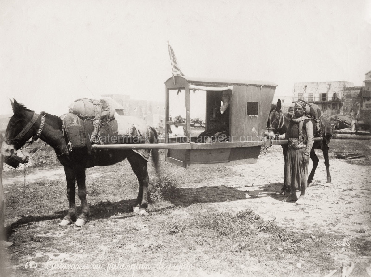 Egypt Mule Drawn Palanquin Sedan Chair Carrying Travel Vtg. Photo 19thC.