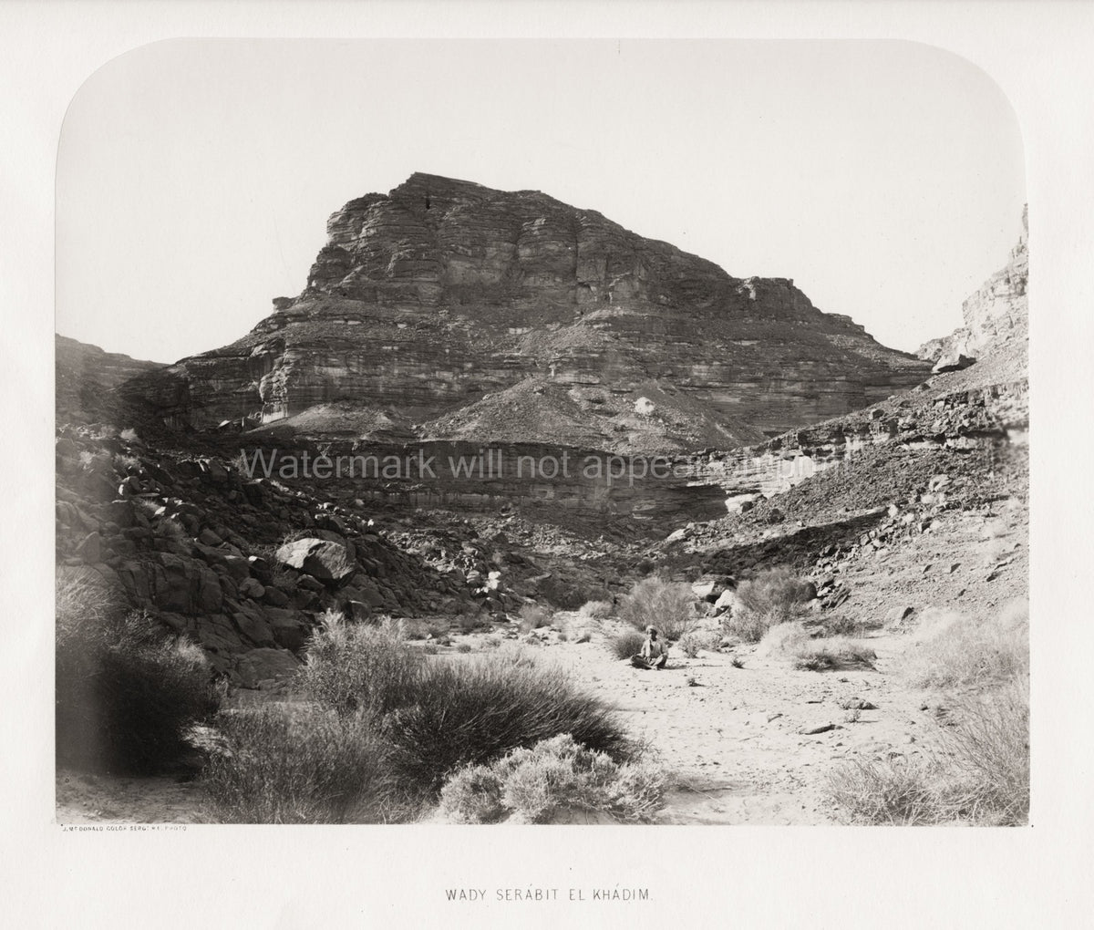 Wady Serabit El Khadim Sinai Desert Canyon Mountain Landscape Vtg. Photo 19thC.