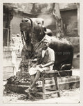 Sacred Bull Nandi Statue Golden Temple Benares Varanasi India Vtg. Photo 19thC.