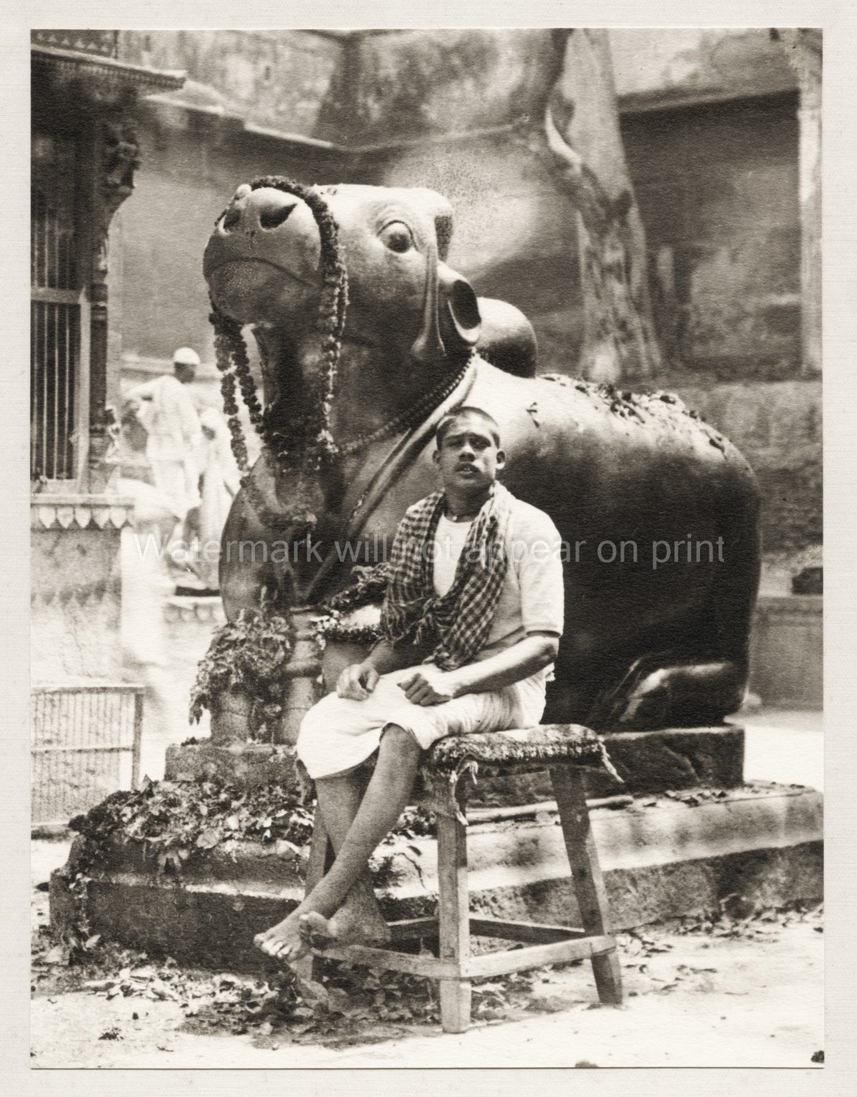 Sacred Bull Nandi Statue Golden Temple Benares Varanasi India Vtg. Photo 19thC.