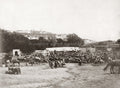 Tangier Morocco Mart Cityscape Crowd Animals Walled City Vtg. Photo 19thC.