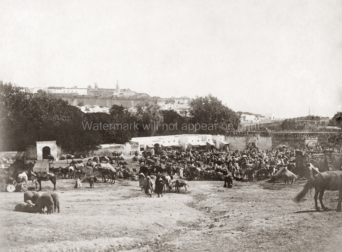 Tangier Morocco Mart Cityscape Crowd Animals Walled City Vtg. Photo 19thC.