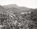 Ceylon Sri Lanka Tea Plantation Workers Picking Hills Vtg. Photo 19thC.
