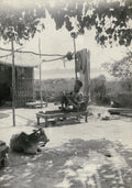 Indian Fakir Holy Man On Bed Of Nails Sadhu Cow Rural India Vtg. Photo 19thC.
