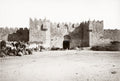 Damascus Gate Jerusalem Palestine Israel City Wall Camels Vtg. Photo 19thC.