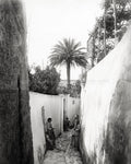 Capri Italy Street Scene Narrow Alley Women Palm Tree Vtg. Photo 19thC.