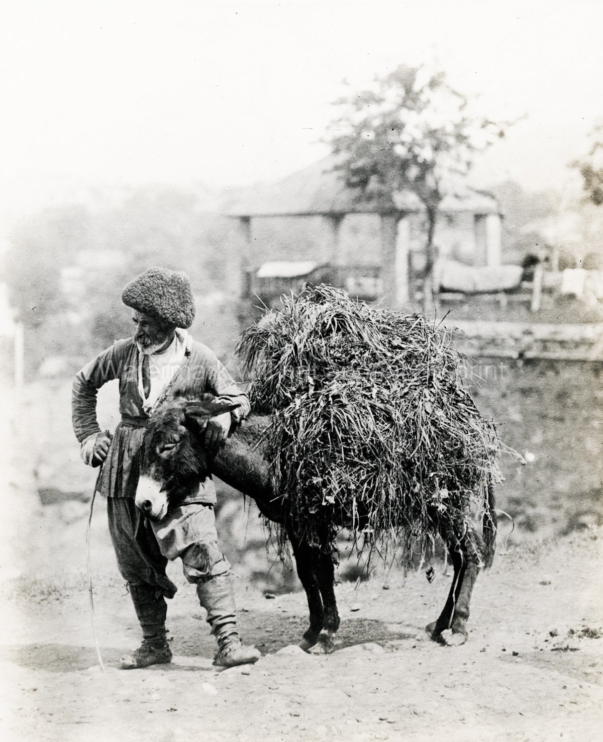 Caucasus Georgia Tiflis Armenian Driver Donkey w Load Vtg. Photo 19thC.
