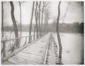 France British Troops Bridge River Flooded Trees Military WW1 Vtg. Photo