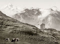 Swiss Alps Torrenthorn Mountain Hotel Cows Scenic Landscape Vtg. Photo 19thC.