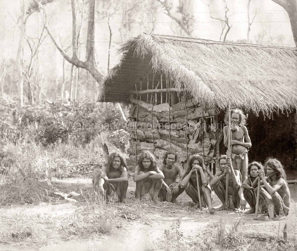Veddahs Ceylon Sri Lanka Indigenous People Tribe Straw Hut Vtg. Photo 19thC.