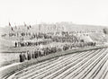 Japan Large Crowd Hillside Banners Procession Hats Vtg. Photo 19thC.