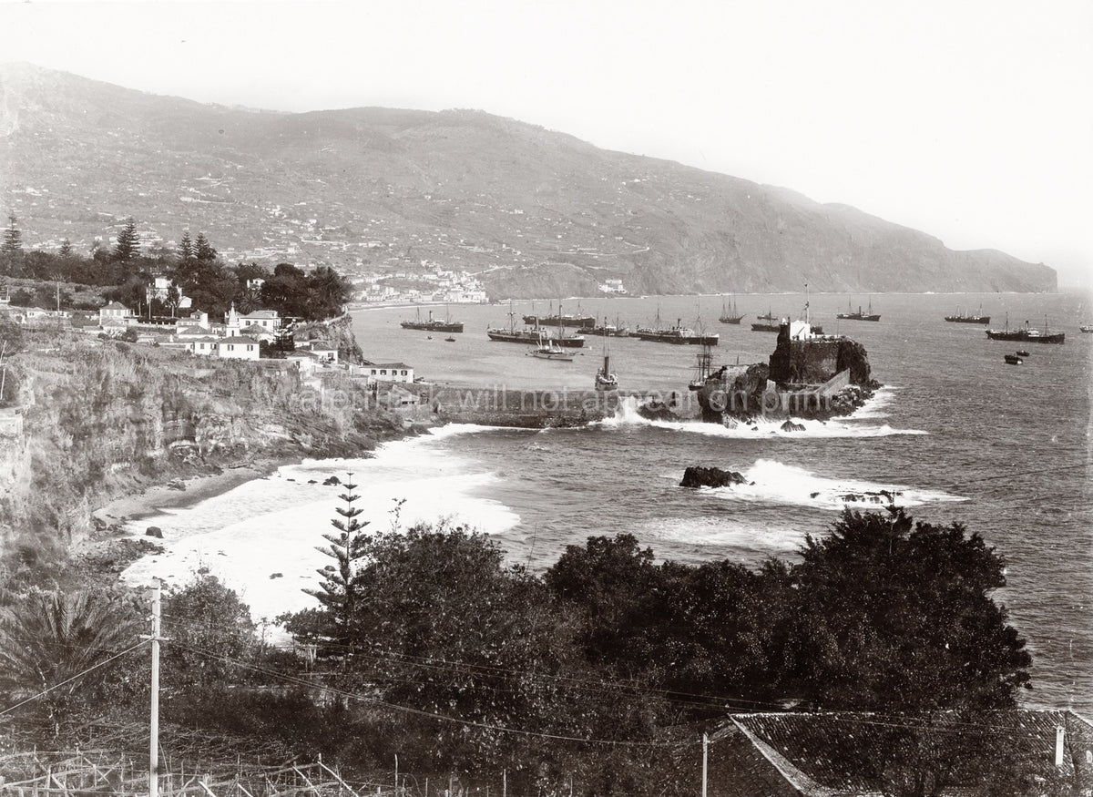 Funchal Madeira Harbour Bay View Steamships Fort Cliffs Vtg. Photo 19thC.