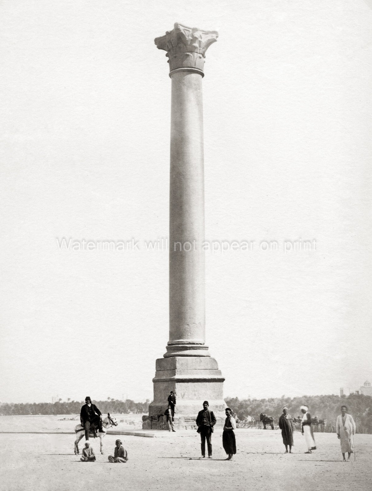 Pompey's Pillar Alexandria Egypt Column Monument People Donkey Vtg. Photo 19thC.