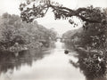 Scenic River Rowing Boat Victorian People Stone Bridge Vtg. Photo 19thC.