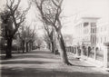 Cape Town Parliament House Government Avenue Architecture Vtg. Photo 19thC.