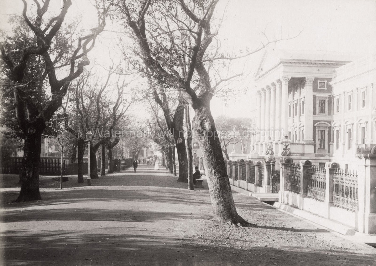Cape Town Parliament House Government Avenue Architecture Vtg. Photo 19thC.