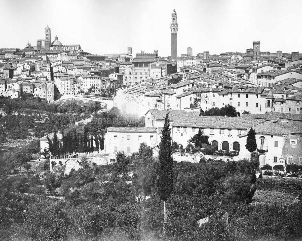 Siena Tuscany Italy Cityscape Torre del Mangia Duomo Rooftops Vtg. Photo 19thC.