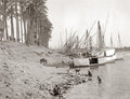 River Nile Egypt Dahabiya Boats Palm Trees Fishing Daily Life Vtg. Photo 19thC.