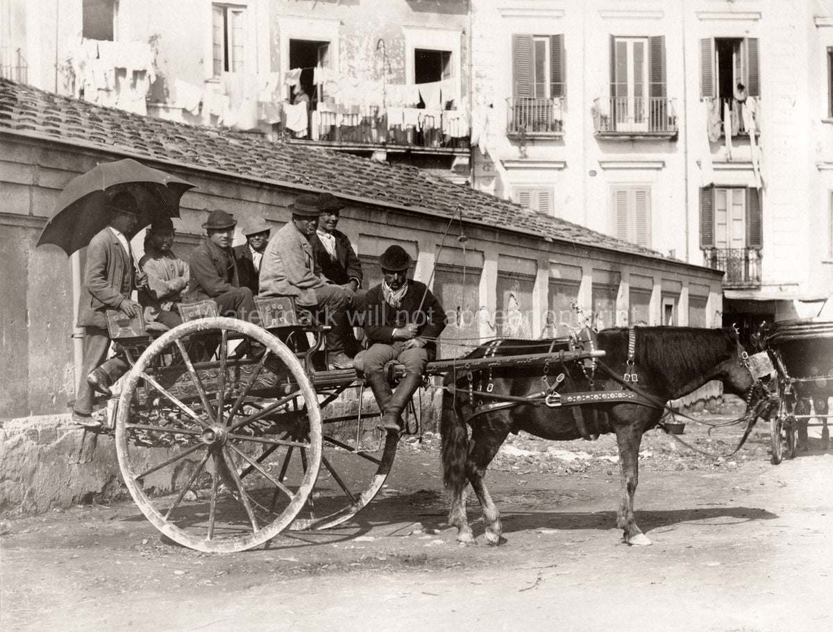 Italy Horse Carriage Hackney Men Passengers Street Scene City Vtg. Photo 19thC.