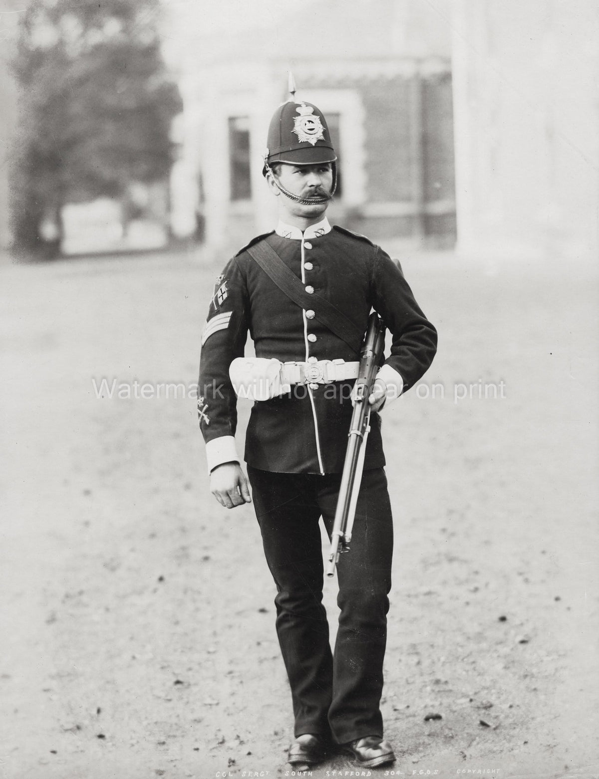 British Army Colour Sergeant South Staffordshire Regiment Vtg. Photo 19thC.