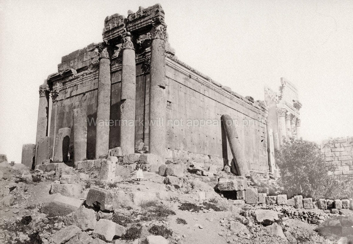 Temple Jupiter Baalbek Lebanon Roman Architecture Ruins Vtg. Photo 19thC.