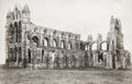 Whitby Abbey Yorkshire Gothic Ruins Monastery Architecture Vtg. Photo 19thC.