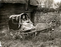 Irish Woman Donkey Cart Rural Countryside Thatched Roof Farm Vtg. Photo 20thC.