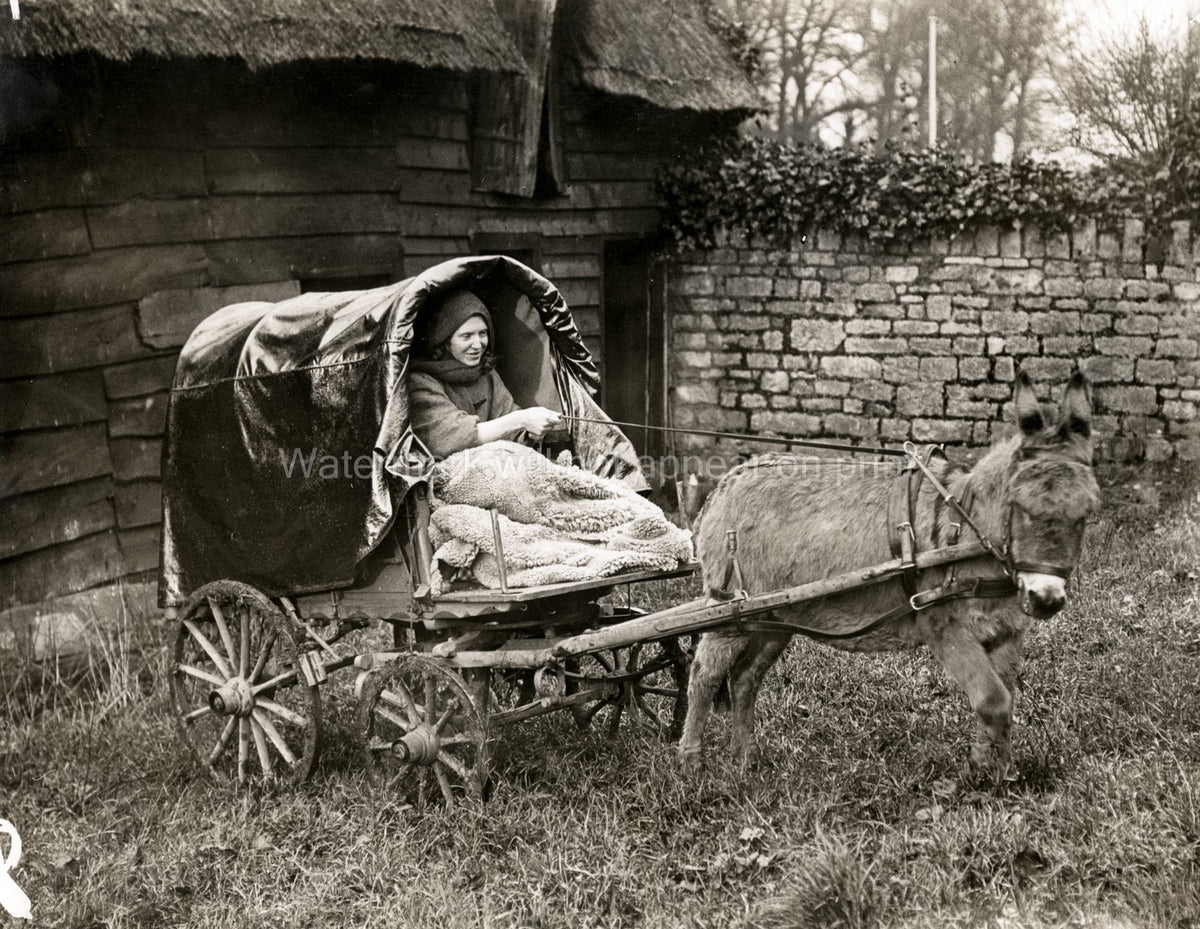 Irish Woman Donkey Cart Rural Countryside Thatched Roof Farm Vtg. Photo 20thC.