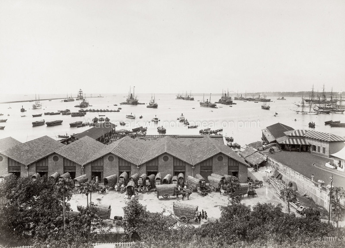 Colombo Sri Lanka Docks Tea Warehouses Harbor Ships Bullock Vtg. Photo 19thC.