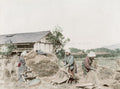 Japanese Farm Workers Stripping Rice Grains Rural Harvest Vtg. Photo 19thC.