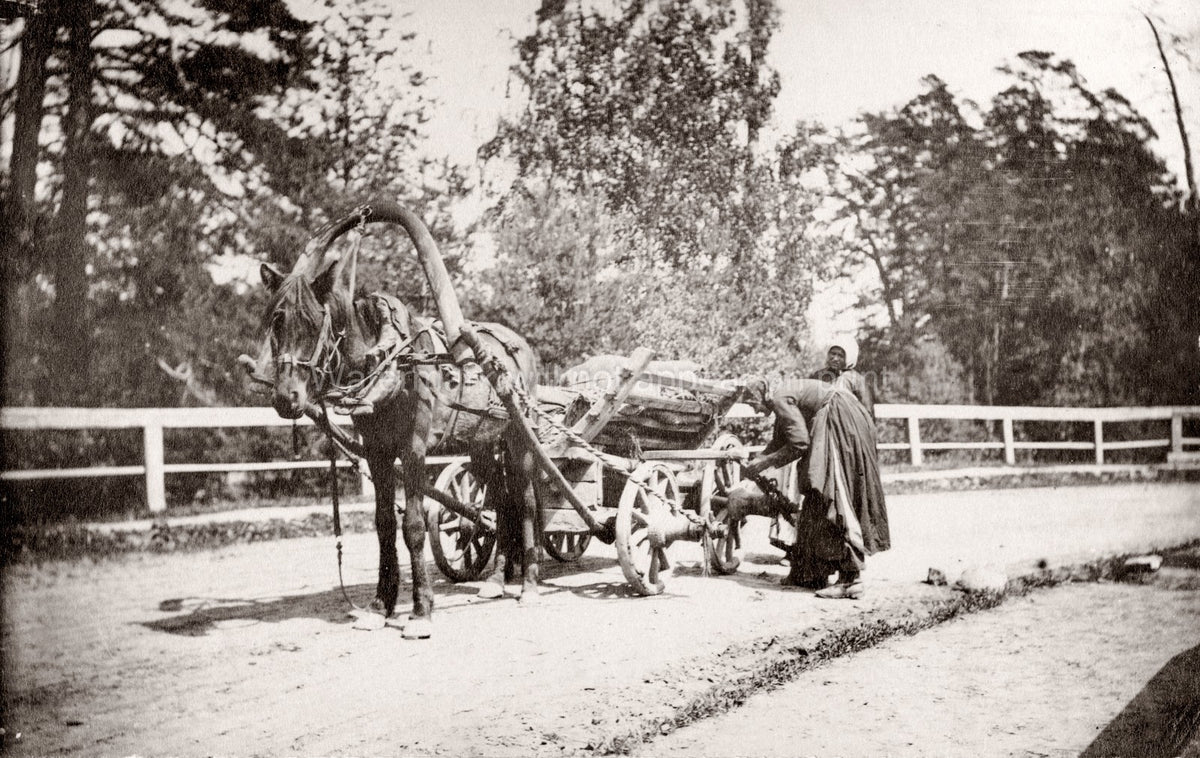 Russia Russian Horse Drawn Wagon Carrying Timber Peasant Woman Vtg. Photo 19thC.