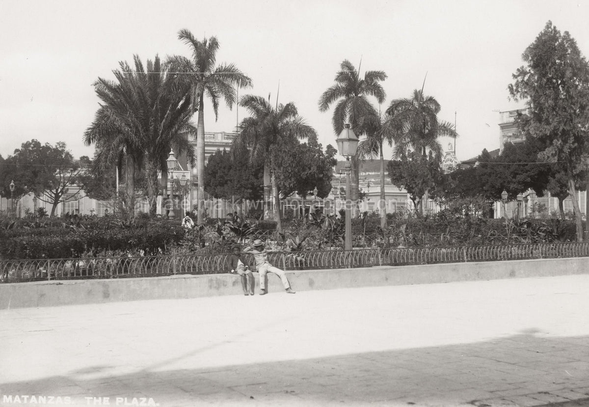 Matanzas Cuba Plaza Palm Trees Park Cityscape People Vtg. Photo 19thC.