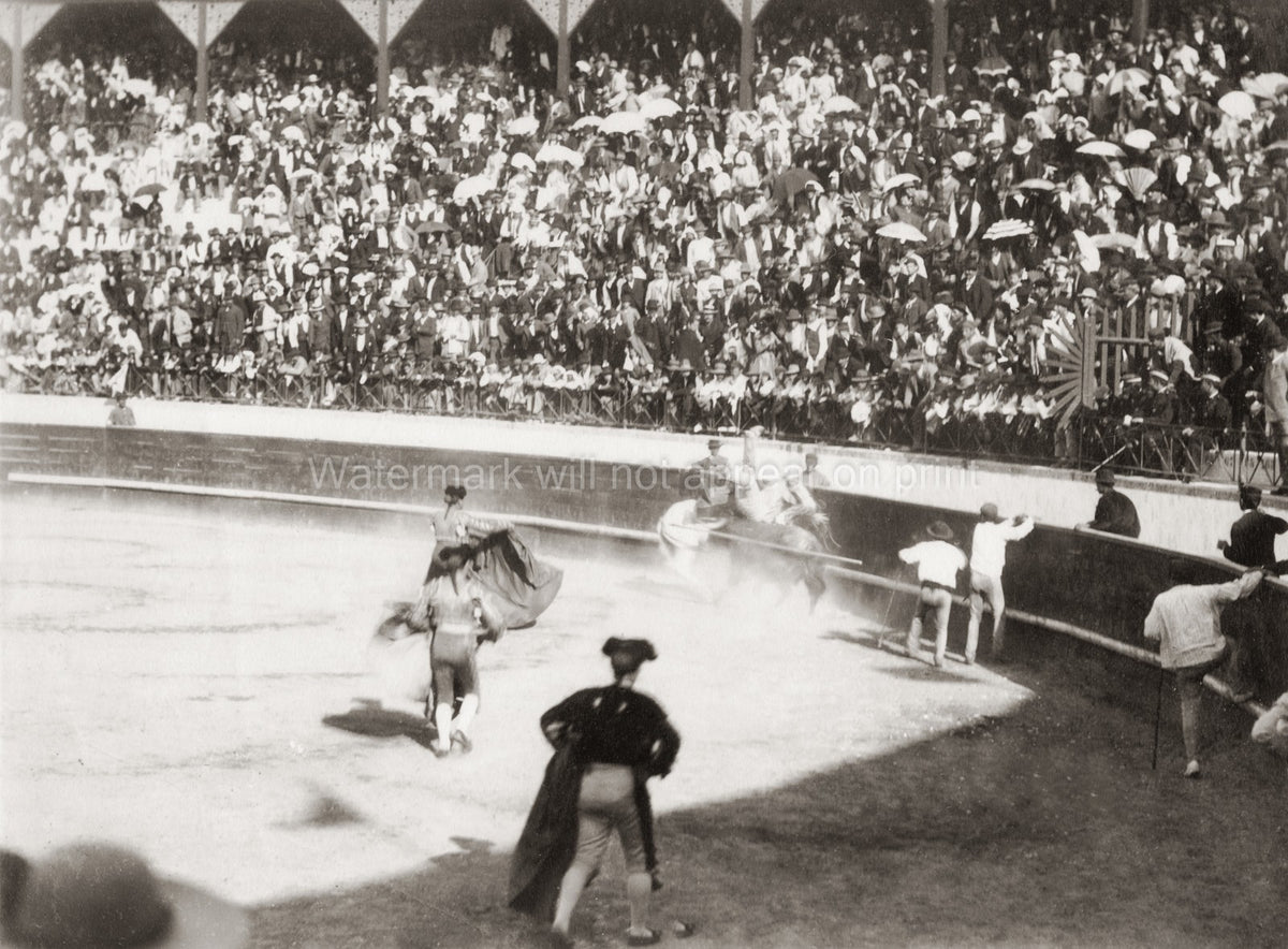 Spain Bullfighting Matador Picador Arena Crowd Spectators Vtg. Photo 19thC.