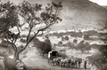 South Africa Wagon Team Mules Coach Little Hell Elandsburg Vtg. Photo 19thC.