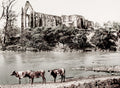 Bolton Abbey England River Wharfe Gothic Ruins Cows Landscape Vtg. Photo 19thC.