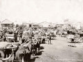 Johannesburg Marshall Square Market Oxen Carts Crowd South Vtg. Photo 19thC.