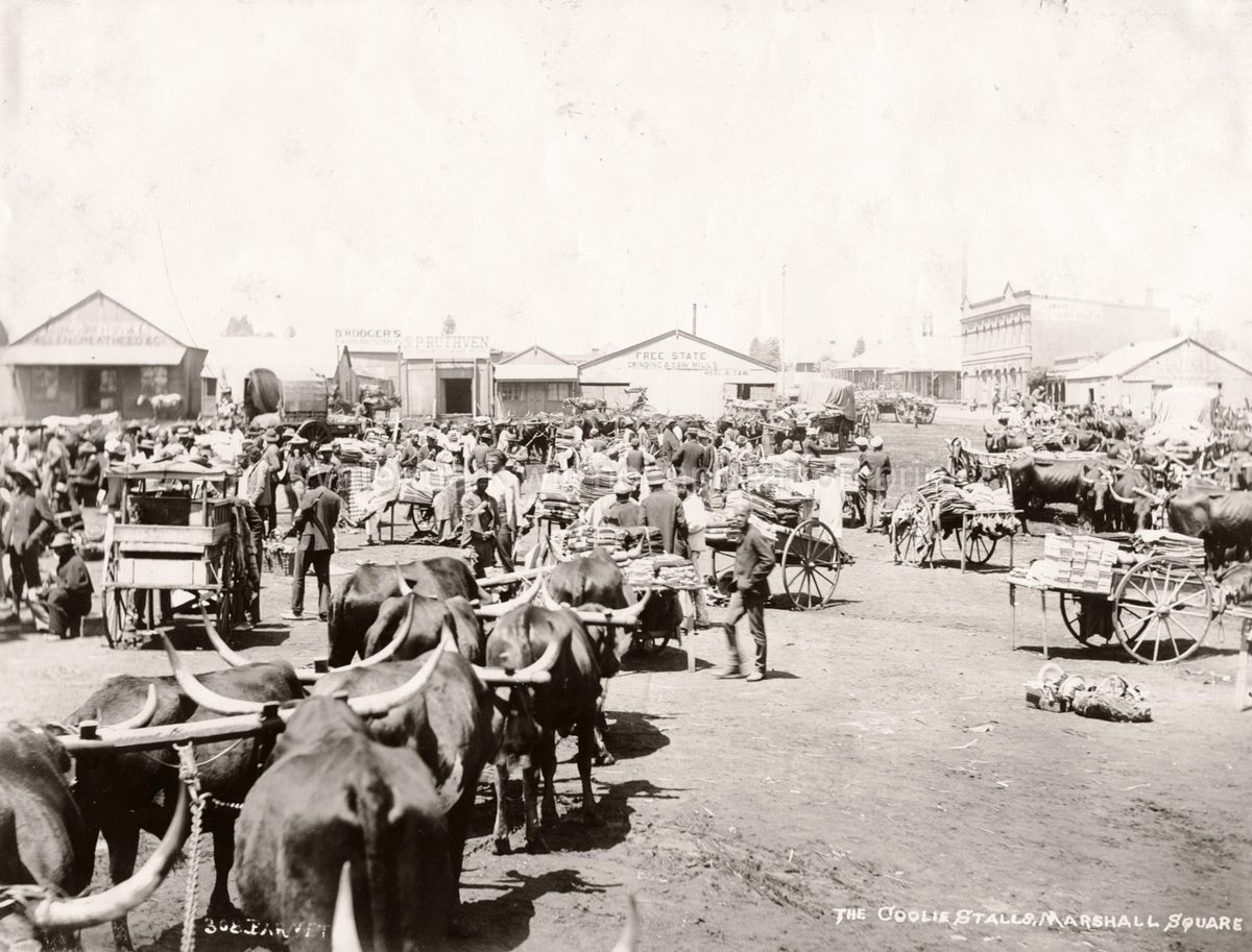 Johannesburg Marshall Square Market Oxen Carts Crowd South Vtg. Photo 19thC.