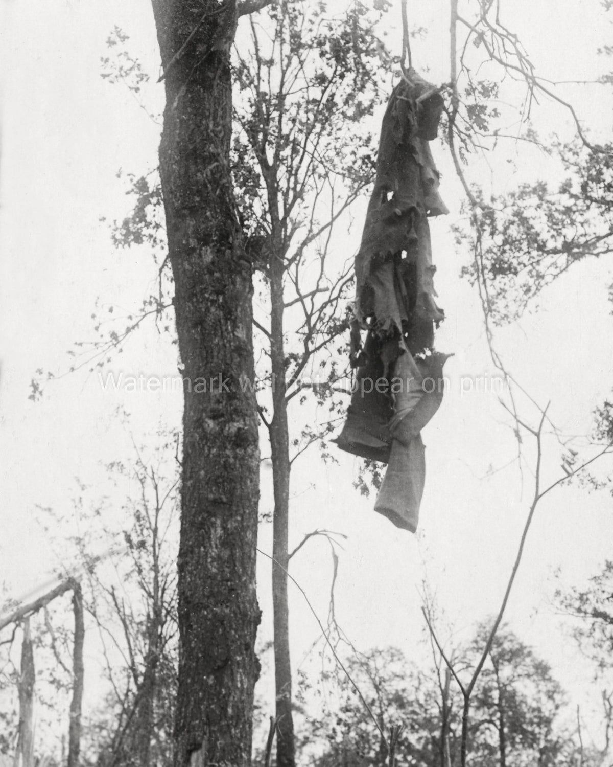 WW1 German Overcoat Hanging Tree France Battlefield War Tattered Vtg. Photo