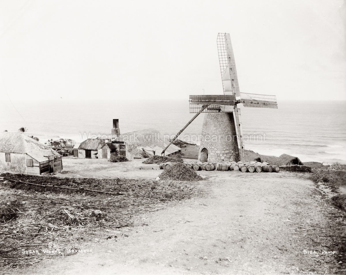 Sugar Works Windmill Barbados West Indies Coastal Plantation Vtg. Photo 19thC.