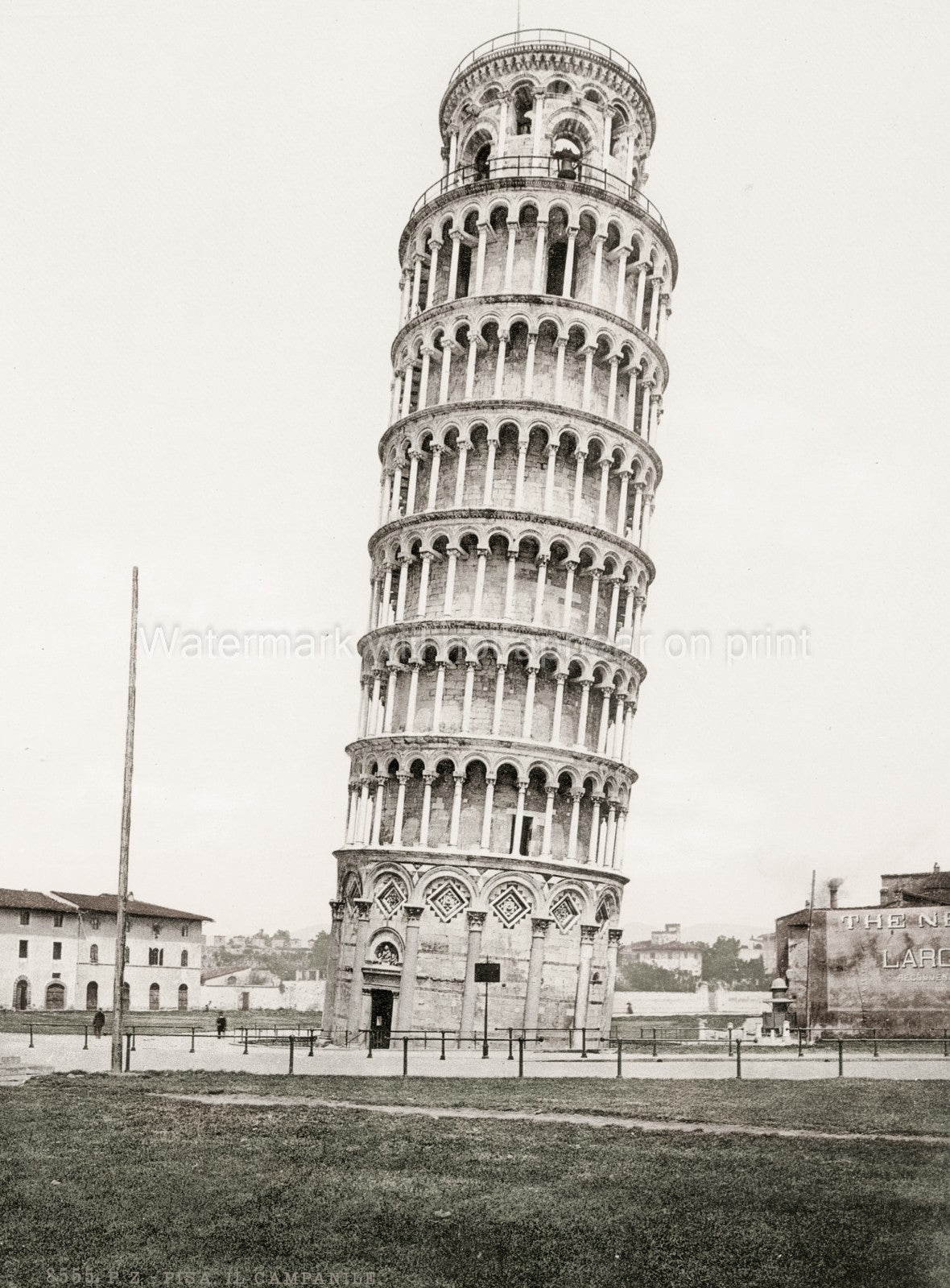 Pisa Italy Leaning Tower Campanile Bell Architecture Vtg. Photo 19thC.
