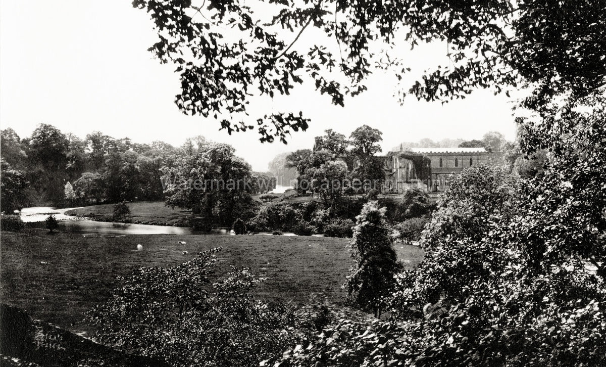 Bolton Abbey Yorkshire Priory Ruins River Wharfe Landscape Vtg. Photo 19thC.