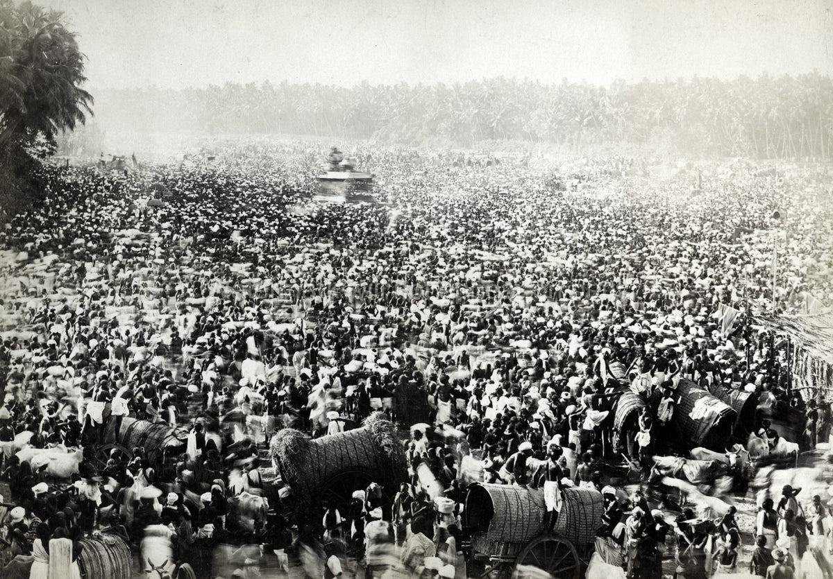 India Ceylon Sri Lanka Huge Crowd Ceremony Festival Procession Vtg. Photo 19thC.